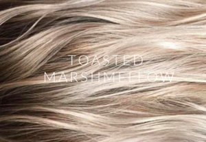 HAND TIED WEFTS | BALAYAGE COLOR COLLECTION - Aspy Hair Extensions